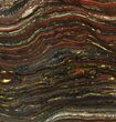 Polished Tiger Iron Stromatolite - ( Billion Years) #95905-1